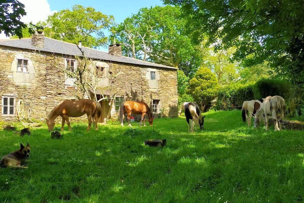 Granja Labrada: Alojamiento Con Caballos Manon Ngoại thất bức ảnh
