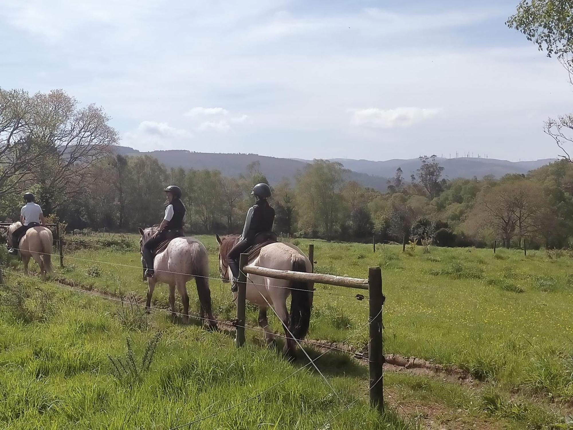 Granja Labrada: Alojamiento Con Caballos Manon Ngoại thất bức ảnh