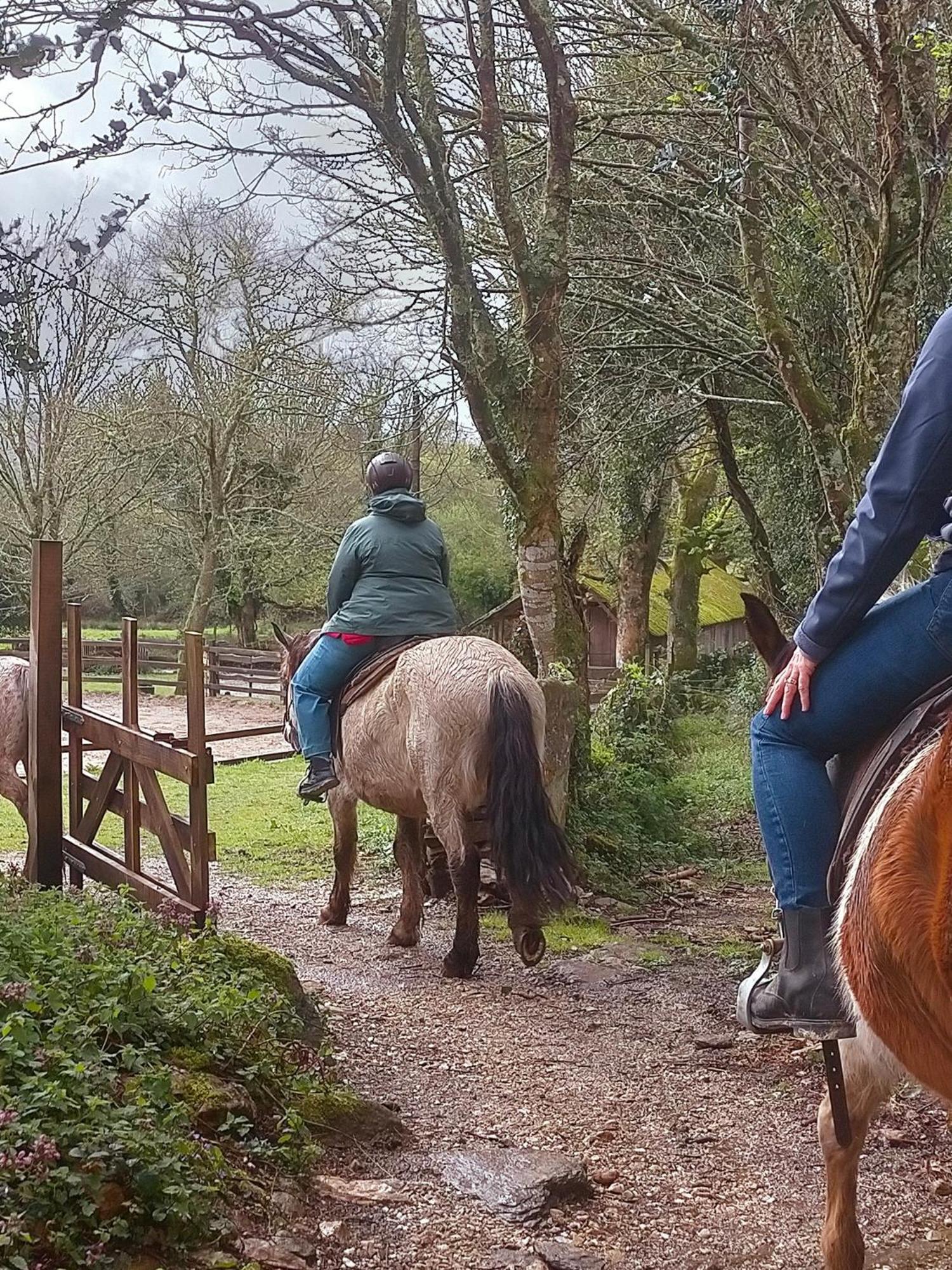 Granja Labrada: Alojamiento Con Caballos Manon Ngoại thất bức ảnh